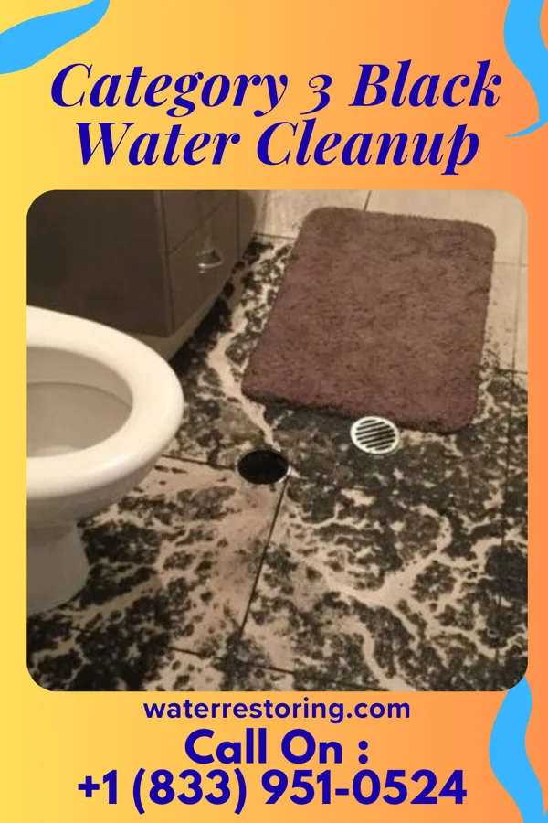 Category 3 Black Water Cleanup in Durham, NC